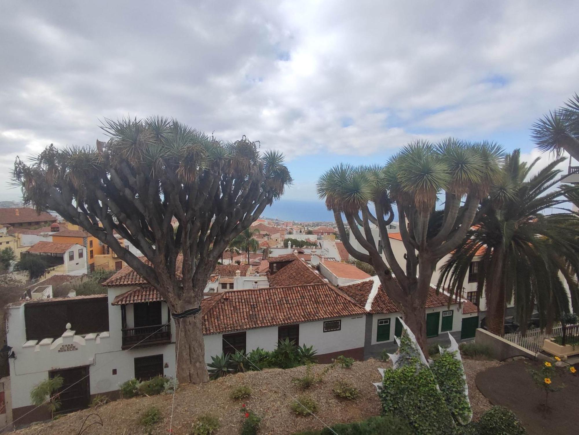 라오로타바 Casa Ruth Centro Orotava 아파트 객실 사진
